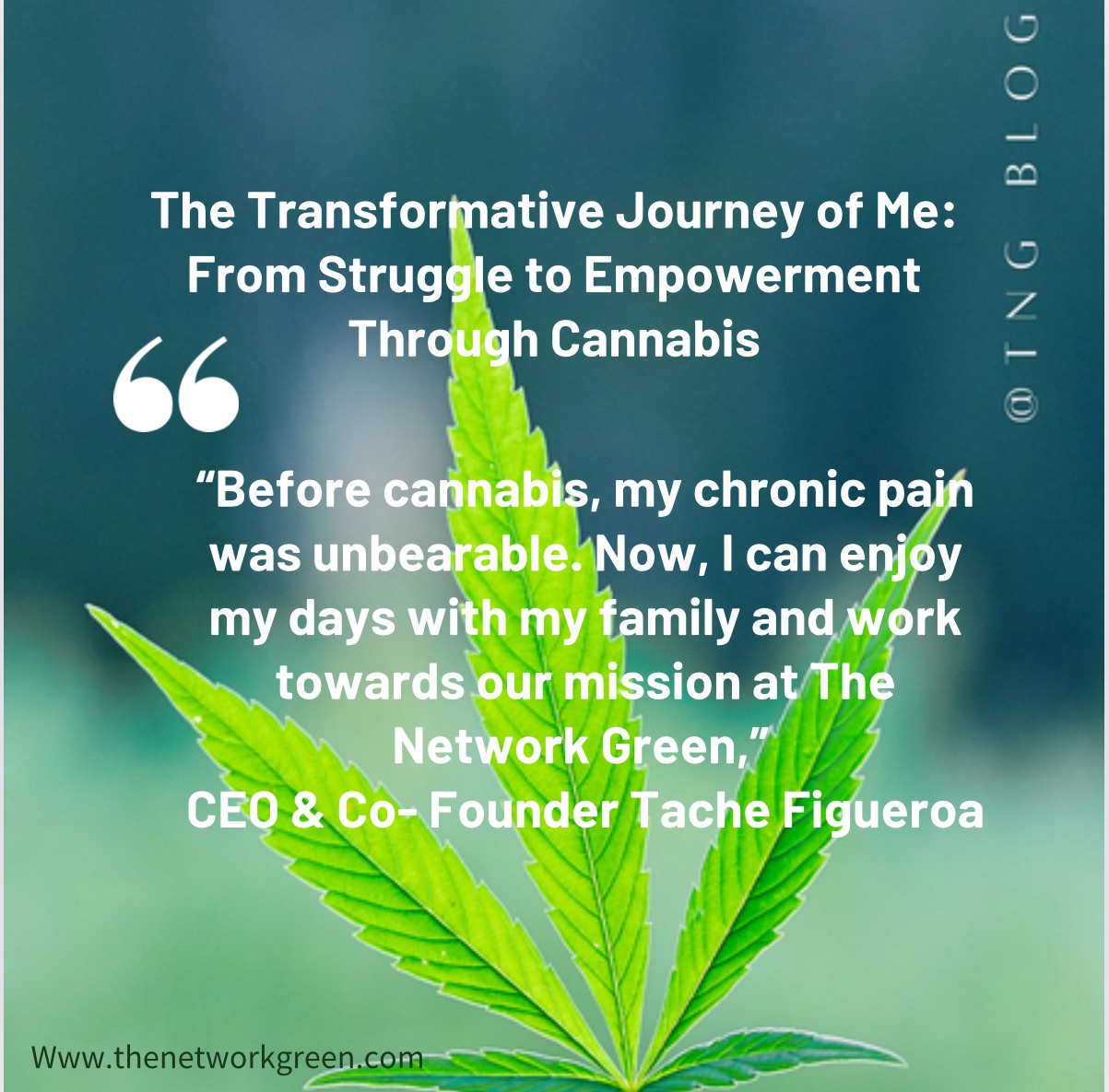 The Transformative Journey of Me: From Struggle to Empowerment Through Cannabis